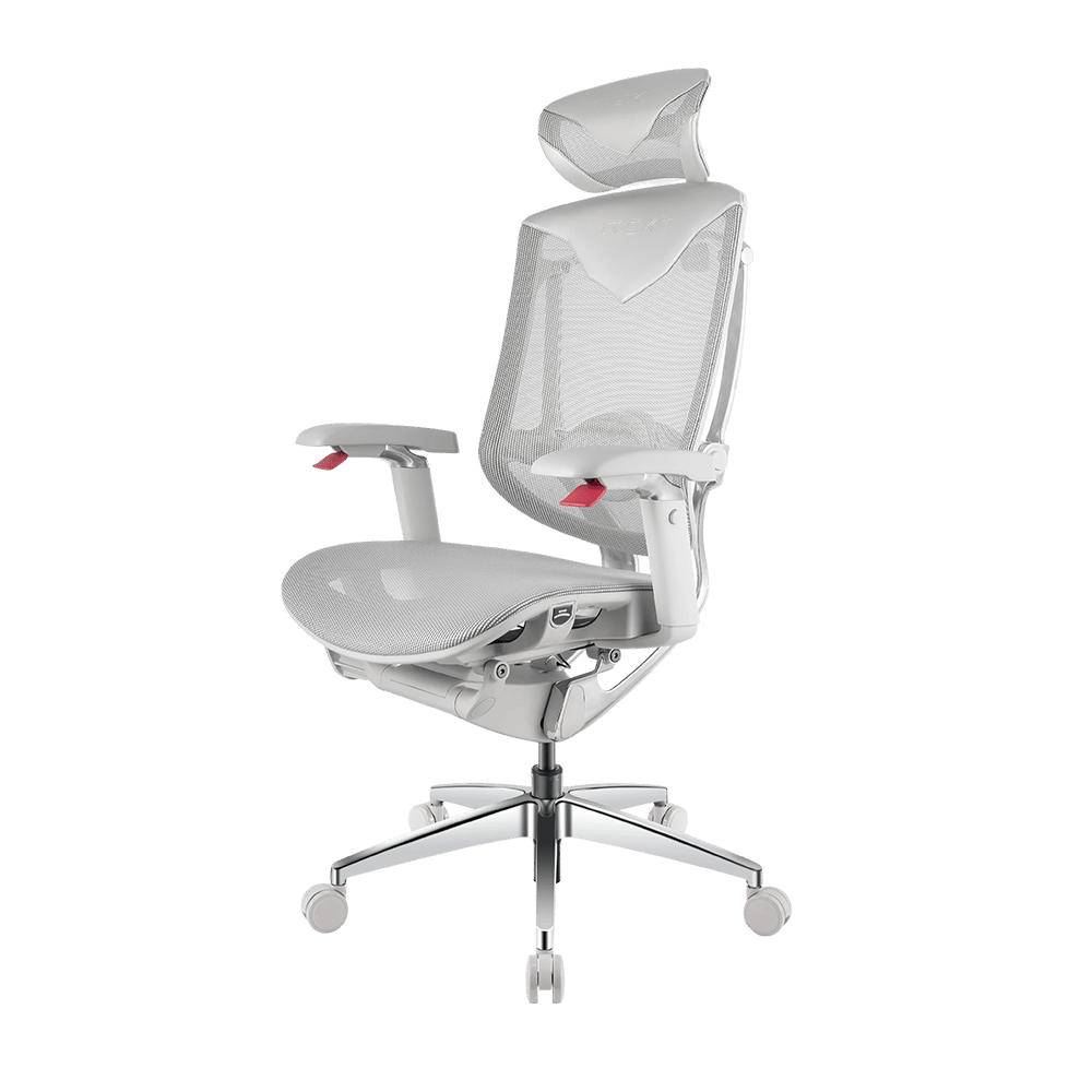 Visuels – RGO Max Business Space Grey-3