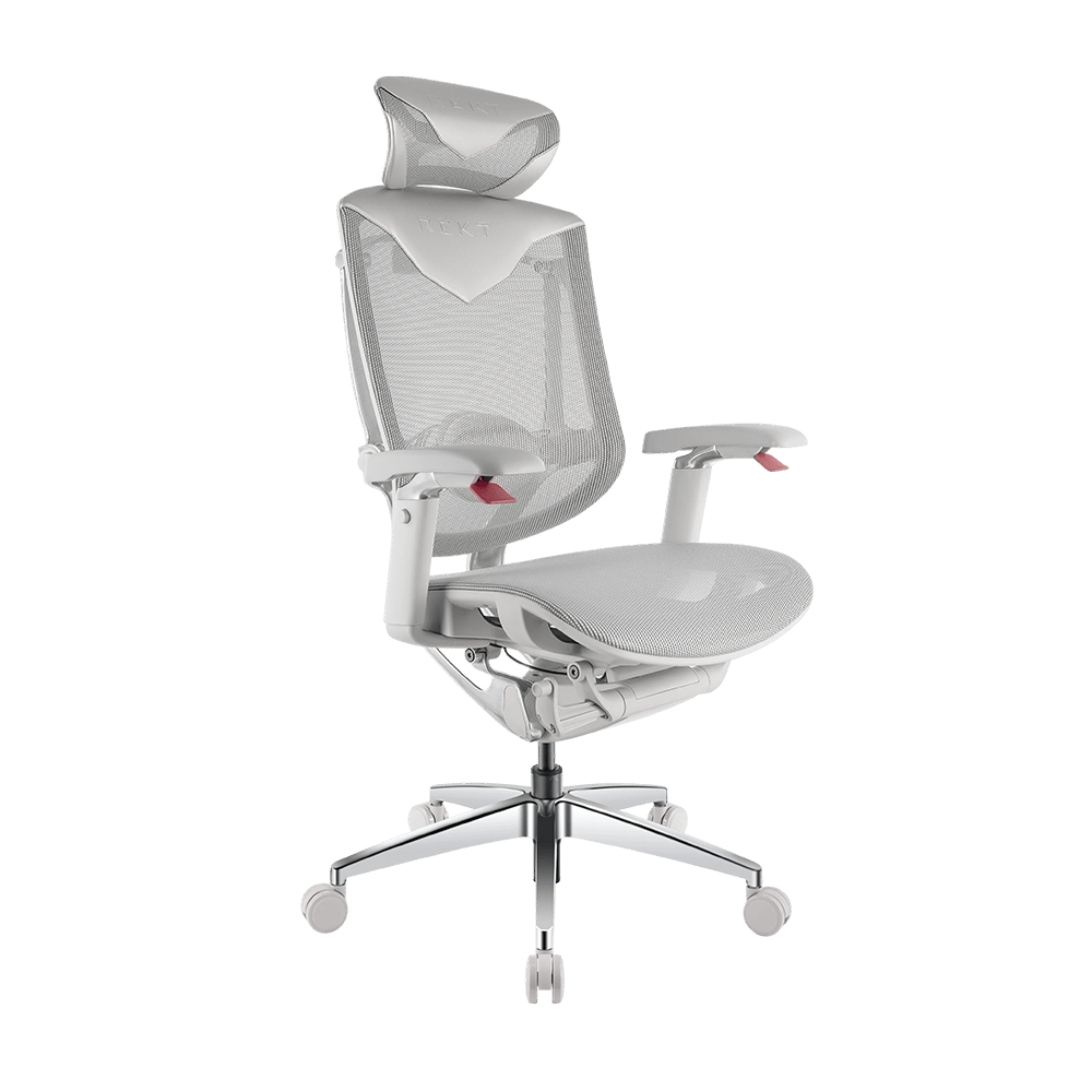 Visuels – RGO Max Business Space Grey-4