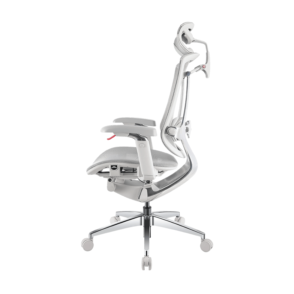 Visuels – RGO Max Business Space Grey-5