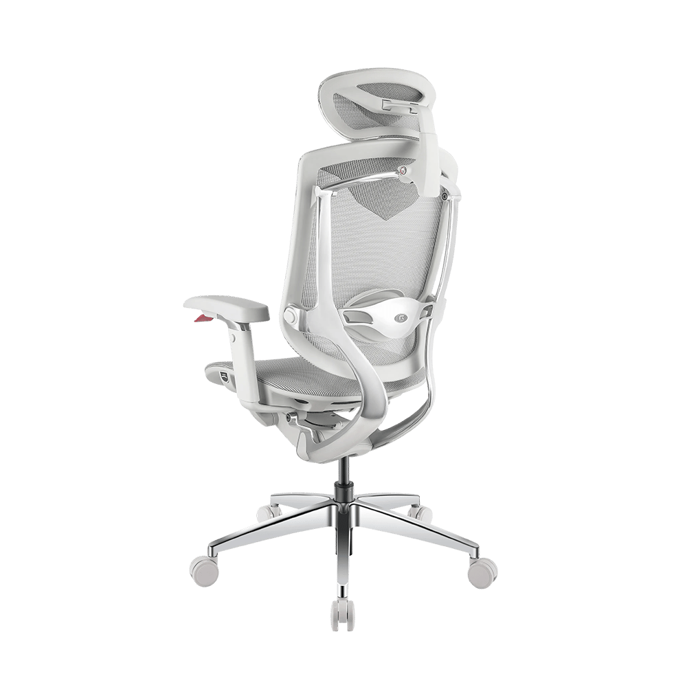Visuels – RGO Max Business Space Grey-6