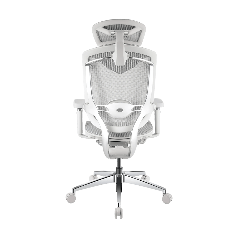 Visuels – RGO Max Business Space Grey-7