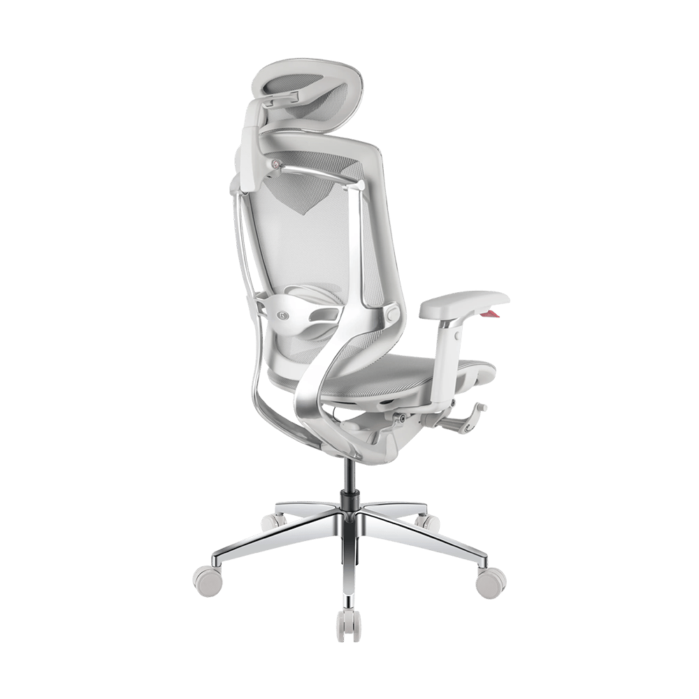 Visuels – RGO Max Business Space Grey-8