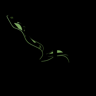 TEAM8-Fluo-v3-orange-glow-10