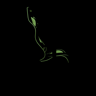 TEAM8-Fluo-v3-orange-glow-13